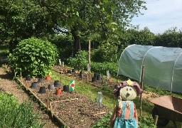 Partez ce week-end à la découverte de jardins merveilleux en région d'Audruicq Oye-Plage