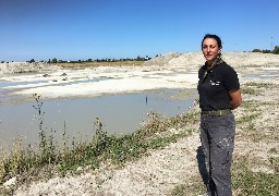 Nouvelle-Eglise : une dizaine de tombes romaines découvertes sur la future ZAC Porte d'Opale.