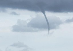 Un tuba observé au large de Berck ce matin 