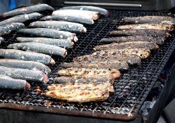 Le hareng fêté ce week-end à Calais !