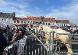 Près de 5000 personnes au comice agricole d'Audruicq