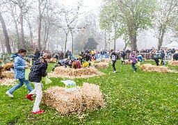 Retour de la traditionnelle chasse aux œufs à Calais