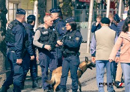 Amiens : il caresse le chien stup de la police avec de la drogue dans les poches ! 