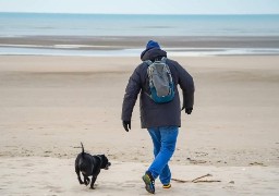Léger rétropédalage au Touquet concernant l’interdiction des chiens sur la plage