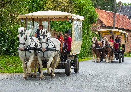 Balades, randonnées thématiques, terroir: que faire cet été dans le Haut Pays d'Opale ?