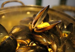 Quelques nouveautés pour la Kermesse de la moule à Calais