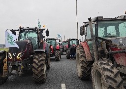 Calaisis : les agriculteurs ont bloqué l’A16 à la mi-journée avec 90 tracteurs sur les voies à proximité de Cité Europe.