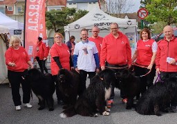 La Dog Run de retour pour une deuxième édition à Stella-plage