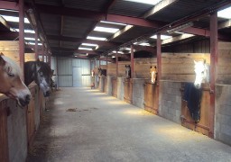 Fréthun : un départ de feu au centre équestre dimanche matin. Aucun cheval blessé.