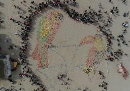Cerfs-Volants de Berck: la fresque géante colorée a laissé apparaître deux perroquets