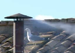 De la fumée blanche au Vatican ce 8 mai !