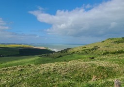 Les caméras de l'émission