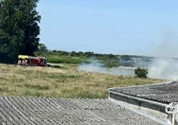 200 à 300 m2 de végétation ont brûlé samedi midi à Calais.