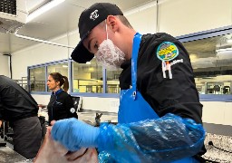 Le boulonnais Mathéo Billy est devenu Meilleur Apprenti de France Poissonnier Ecailler Traiteur ! 