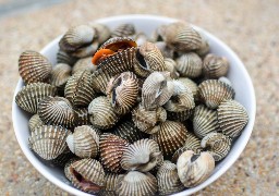 Baie de Somme: après 2 ans d'attente, la pêche aux coques rouvre ce lundi !