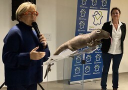 Calais : RADIO 6 a assisté à l'inauguration de la Cité du Dragon ce mardi soir, on vous emmène ! 