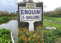 Enquin-sur-Baillons : Comment ce village du Pas-de-Calais est devenu la capitale du cresson