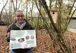 Somme : 2 000 nichoirs installés cette année pour lutter naturellement contre les chenilles processionnaires