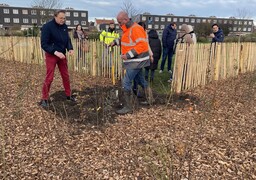 Calais : Une micro-forêt Miyawaki va sortir de terre dans le quartier des Cailloux.