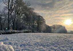 La neige tombe dans la région, depuis la fin de nuit, de façon assez disparate