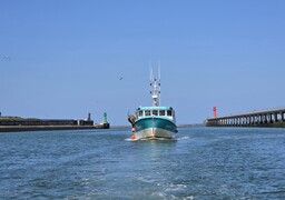 Malgré une baisse de 2% des volumes débarqués, Boulogne reste le premier port de pêche de France