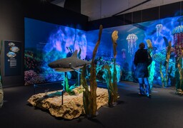 À l’abbaye de Saint-Riquier, l’univers de Jules Verne prend vie en briques LEGO®