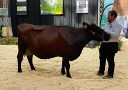 Au Salon international de l'Agriculture, pas de vaches mais...