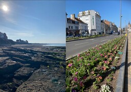 C'est le printemps ! Grandes marées et premiers coups de binette dans les jardins !