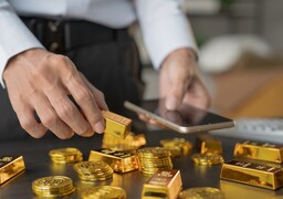 CONSEILLER DE VENTE H/F BOULOGNE SUR MER