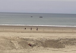 Berck-sur-Mer : une vingtaine de migrants secourus au petit matin sur la plage