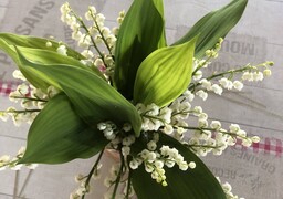 1er-Mai : le maire du Touquet, Daniel Fasquelle interpelle Matignon, mais le gouvernement reporte toute réforme