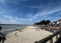 Au Crotoy, cette plante envahissante menace la plage : une opération d’arrachage organisée ce mardi