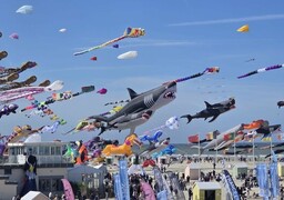On connait la date des prochaines Rencontres Internationales de Cerfs-Volants à Berck