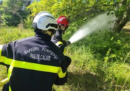 Condette: intervention des pompiers pour un feu en forêt d'Ecault