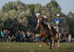 Le Crotoy : un sport spectaculaire et méconnu débarque ce week end en Baie de Somme
