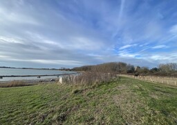 Oye-Plage : On vous emmène découvrir la nouvelle balade nature à la Gravière