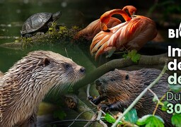 Les escapades Radio6 : À Fort-Mardyck, visitez le parc animalier Biotopia...