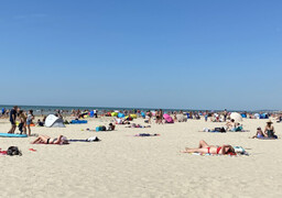 La chaleur fait son retour : jusqu’à 32°C attendus, la vigilance canicule s’étend