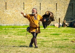 Calais: le spectacle de fauconnerie de retour au Fort Risban, ce week-end