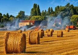 Lisbourg : un spectaculaire incendie ravage 5 hectares, un champ de lin sauvé de justesse