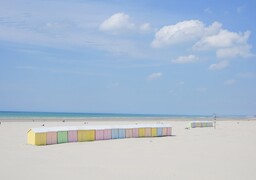 À Berck, le mardi à 14 heures serait le meilleur moment pour trouver l'amour sur la plage !