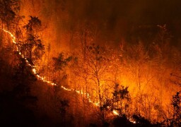 Feux de forêt : 158 pompiers des Hauts-de-France partent en renfort en Gironde