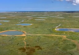 Baie de Somme et Côte d'Opale : les sauvaginiers ont lancé leur saison.