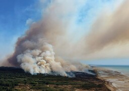 Hardelot : un feu dans les dunes mobilise d’importants moyens, une habitation menacée par les flammes