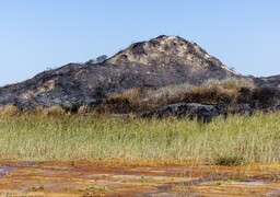 Mont-Saint-Frieux : accès interdits aux massifs, 3 pompiers blessés et toujours des questions sur l’origine du feu