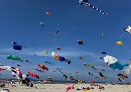 Berck-sur-Mer : les cerfs-volants vont colorer la plage toute la journée ce dimanche
