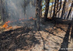 Mont-Saint-Frieux : la pluie stabilise l’incendie, 90 pompiers toujours mobilisés