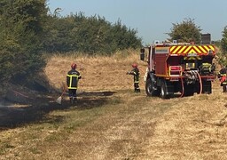 Calais-Sangatte : un feu de végétation ravage environ 1 000 m² près du Fort Nieulay