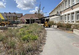 A Dunkerque, plus d'une dizaine de cours d'école déjà végétalisées !