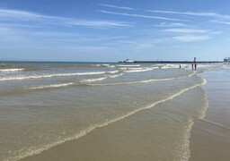 Calais : baignade interdite temporairement à Calais la plage ! 